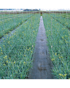 Mevonet 8-maas 12,5 x 12,5 cm / 1000 x 1 m steunnet