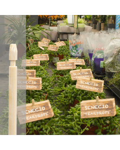 Bambini bamboe etiketsteker 10 cm naturel