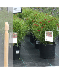 Bambini bamboe etiketsteker 23 cm naturel