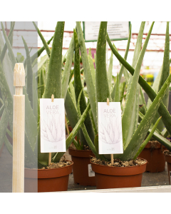 Bambini bamboe etiketsteker 27 cm naturel