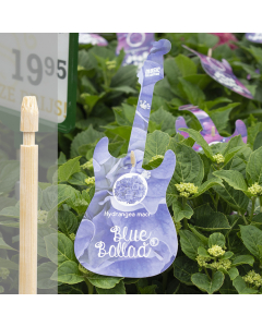 Bambini bamboe etiketsteker 55 cm naturel