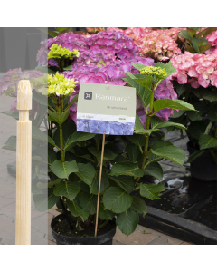 Bambini bamboe etiketsteker 90 cm naturel