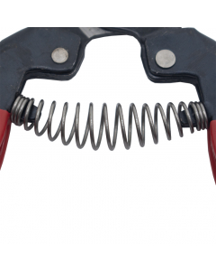 BigStar veer voor BigStar P-170 en P-170C