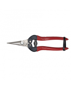 BigStar P-170S fruitschaar rood vernikkeld