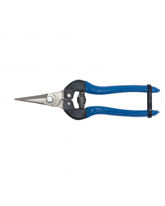 BigStar P-170S fruitschaar blauw vernikkeld