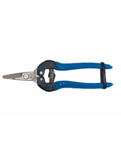 BigStar P-170C fruitschaar blauw vernikkeld