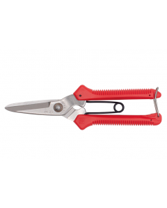 BigStar P-300 fruitschaar rood