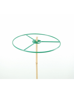 Plantenring Ø 30 cm