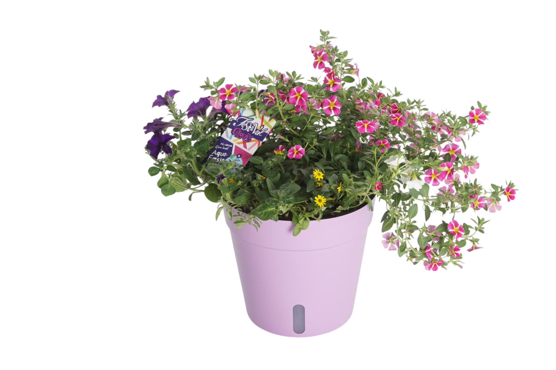 AMEVO lanceert Terraspot Aqua Easy: altijd zicht op waterniveau dankzij uniek kijkvenster